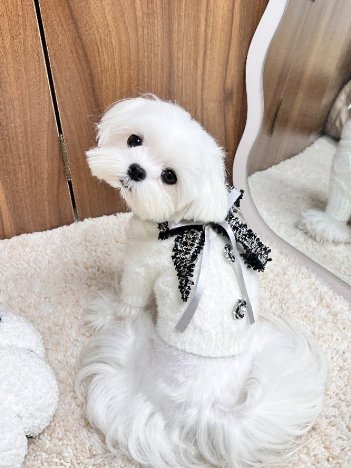 Cute Knitted Sweater For Pets - White