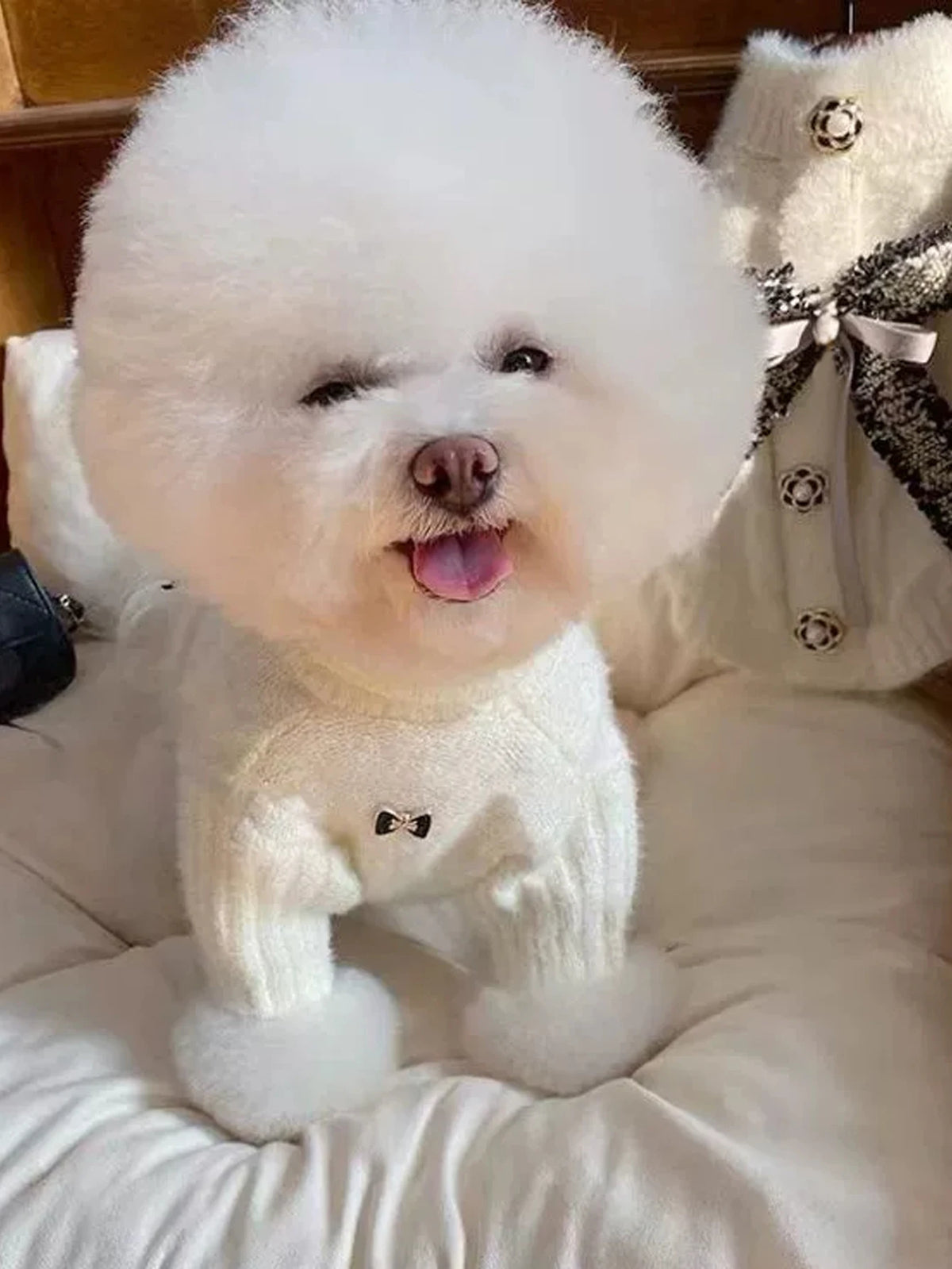 Cute Knitted Sweater For Pets - White